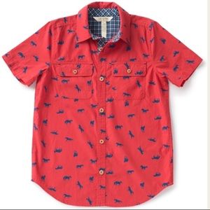 NWT. Joanna Gaines Horsing around Shirt